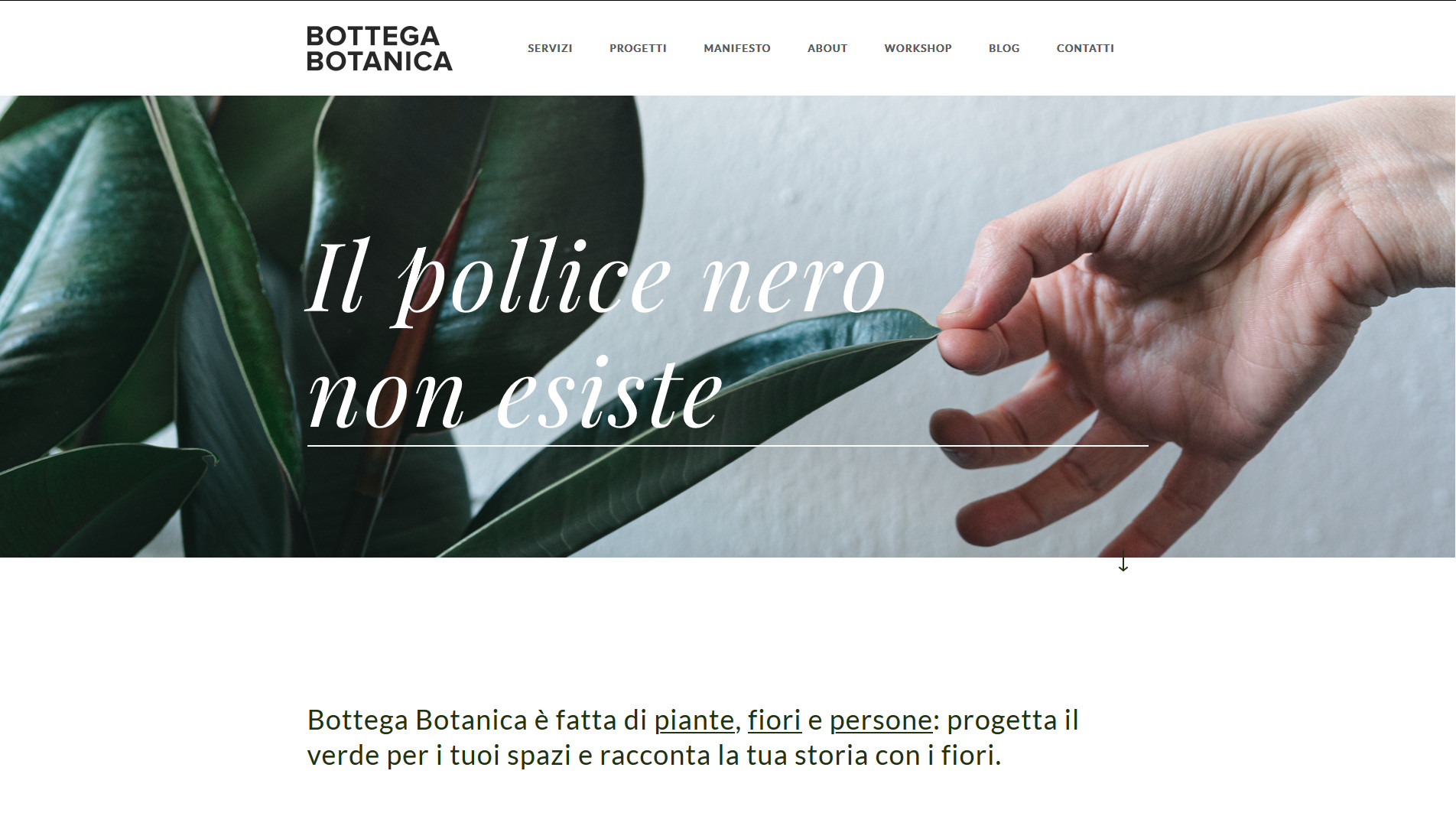 bottegabotanica.com